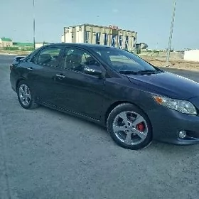 Toyota Corolla 2010
