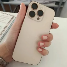 16pro