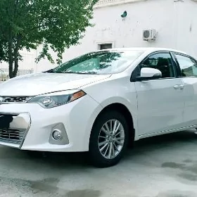 Toyota Corolla 2014