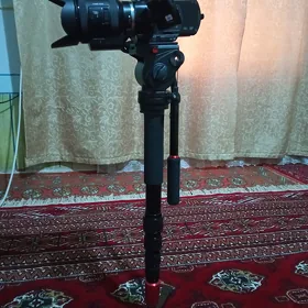 Wiga 30