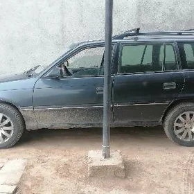 polo diska