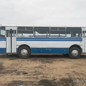 ПАЗ 3203 1985