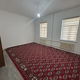 элитка квартира аренда