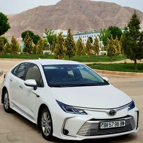 Toyota Corolla 2024