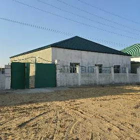Anew opytny