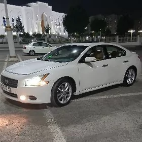 Nissan Maxima 2010