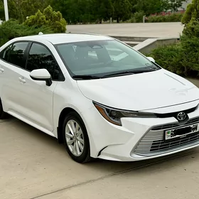 Toyota Corolla 2024