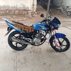 Fekon FK150-8G 2014