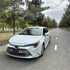 Toyota Corolla 2022