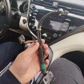 Detanasiya datcik h