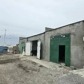 arenda boks