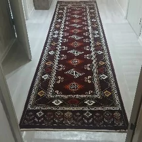 iran haly zal üçin