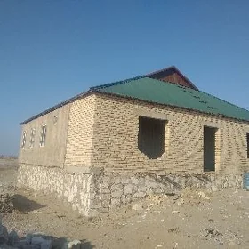 Şatlyk jay