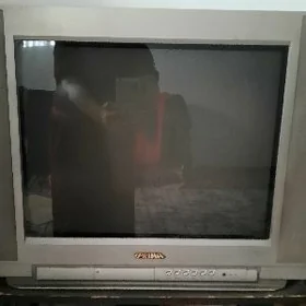 Telewizor