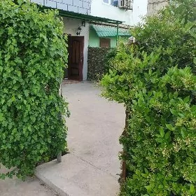 3ком ГАУДАНКА