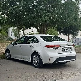 Toyota Corolla 2020