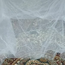 Peşehana