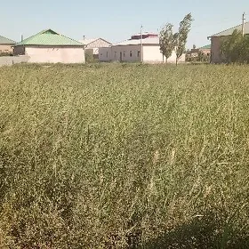 satlyk ýeriñ özi 16sotik