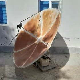 Antena uly