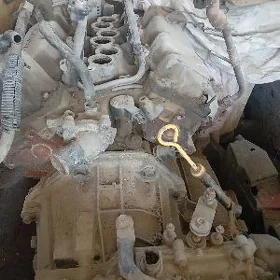 ford tourus lx motor koropka 9