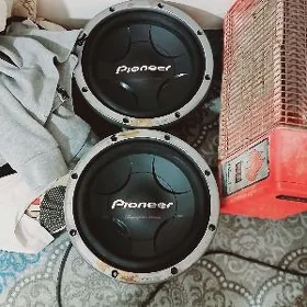 pioner bocka