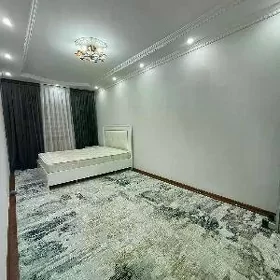 Arenda jay mir7