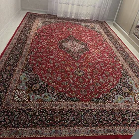 iran haly