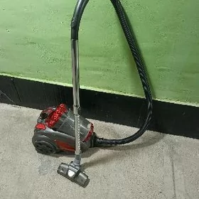 Plesos
