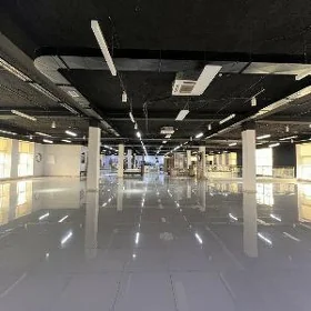 Abeznoÿ Zdanÿa Pomişeniÿa