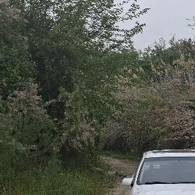 Opel Vectra 1994