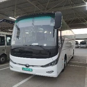 Toyota Coaster 2024