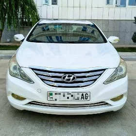 Hyundai Sonata 2010