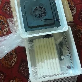 ınkubator