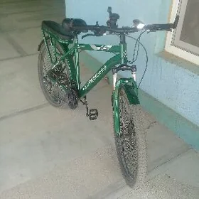 welsepit