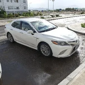 Toyota Camry 2019