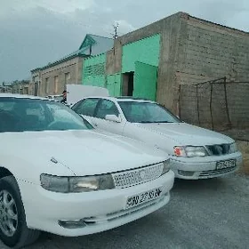 Toyota Chaser 1993