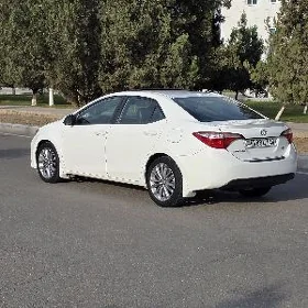 Toyota Corolla 2014
