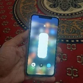 Iphone 16pro max owurlen 256
