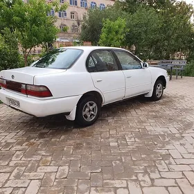Toyota Corolla 1994