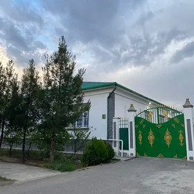 Taze zaman