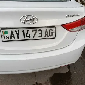 Tehpasport yitdi