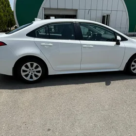Toyota Corolla 2024