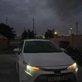 Toyota Corolla 2024