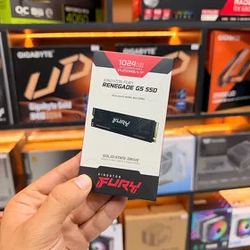 M2 nvme 1TB Gen5 Kingston