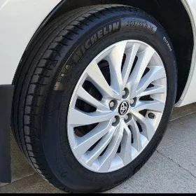 Karolla Brazgawik 14 19 yyl