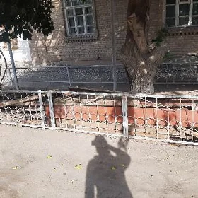 Круглеки бревна