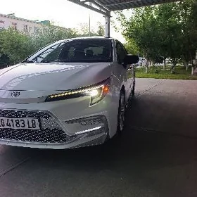 Toyota Corolla 2024