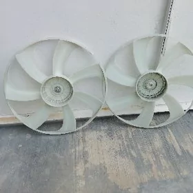 Toyota lopus