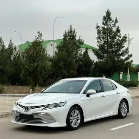 Toyota Camry 2019