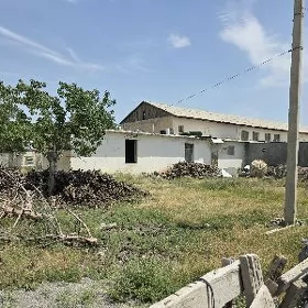 ARENDA BINALAR, ŸERLER